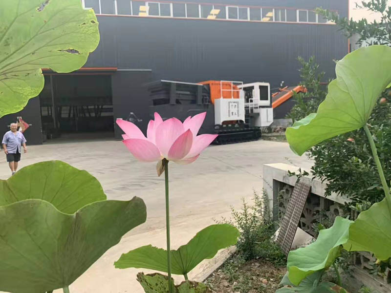 鹅卵石移动石子好色视频下载机